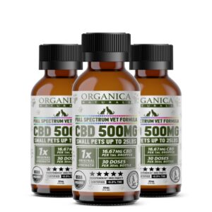 Pet CBD Oil For Dogs, Cats, Horses and Animals Of All Sizes